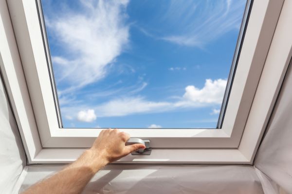 Skylight Pane Replacement